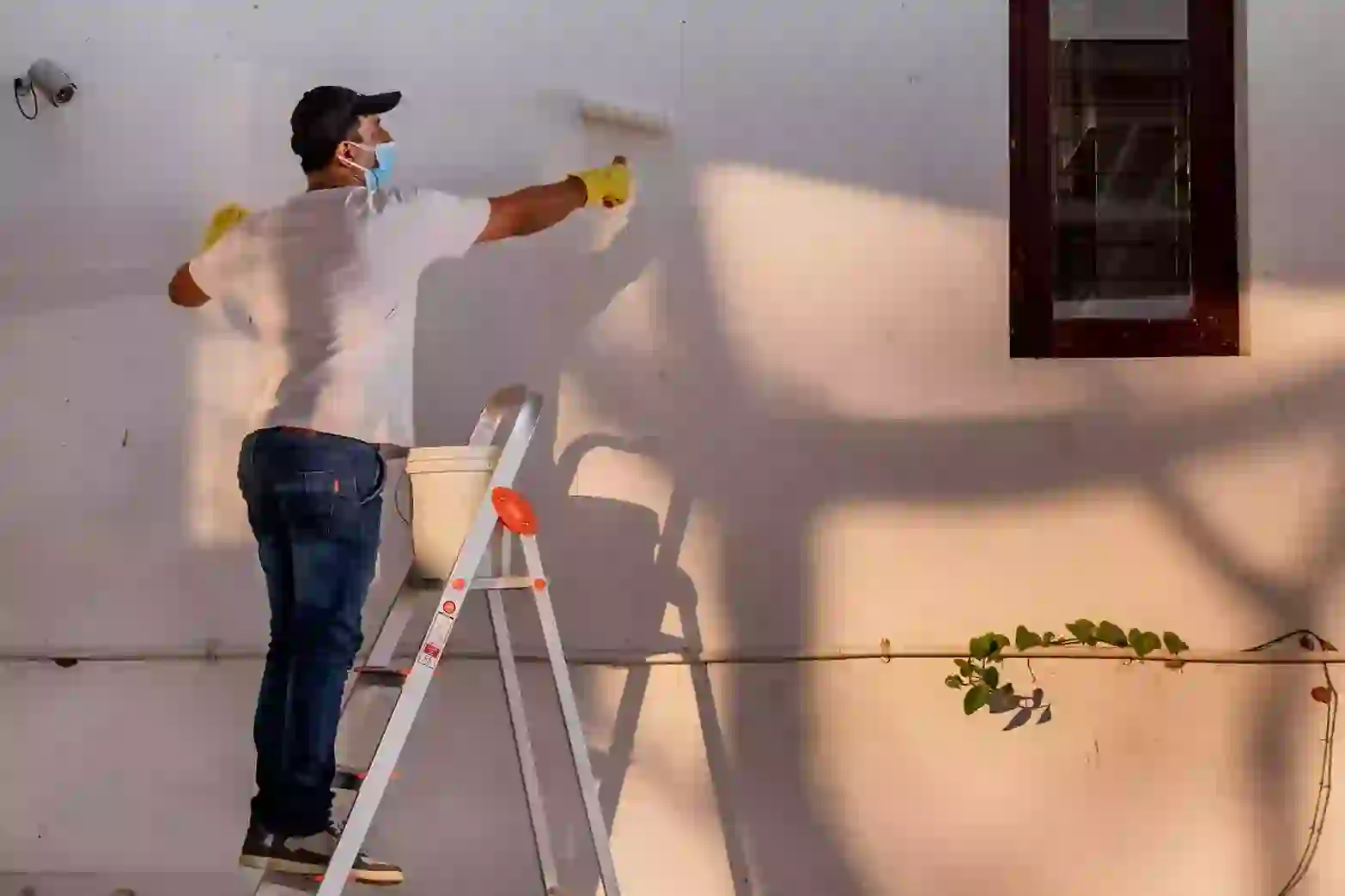 professional painting service