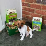 Bully Sticks
