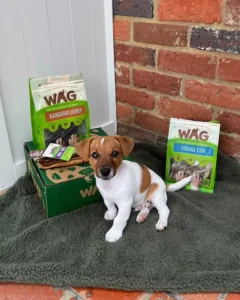 Bully Sticks